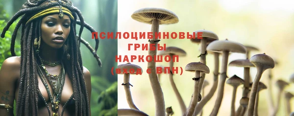 первитин Бородино