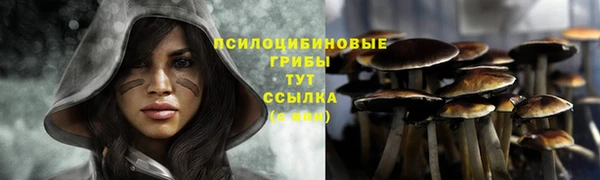a pvp Бугульма