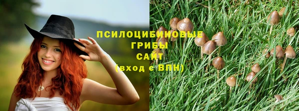 мяу мяу мука Верхнеуральск