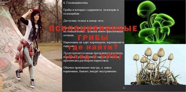 первитин Бородино